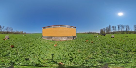 Play 'VR 360° - EIP-Agri 'Hühner werden mobil' virtueller Stallrundgang